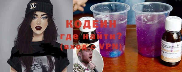 хмурый Пересвет