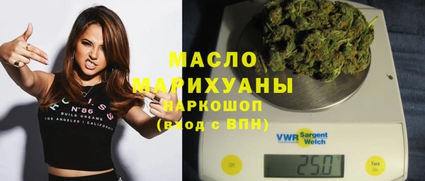 хмурый Пересвет