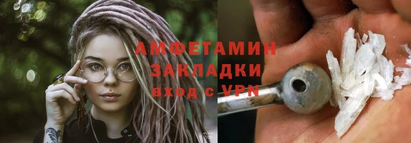 хмурый Пересвет