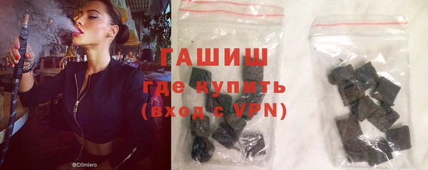 хмурый Пересвет