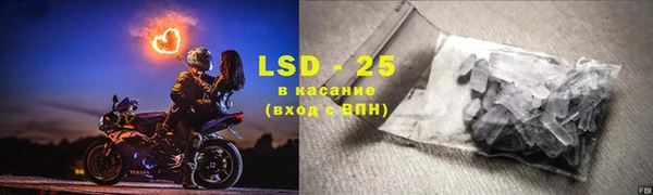 хмурый Пересвет