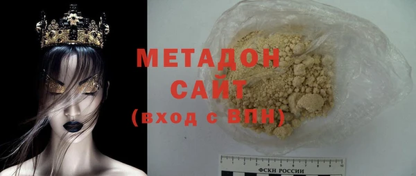 хмурый Пересвет