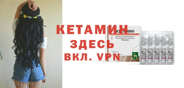 хмурый Пересвет