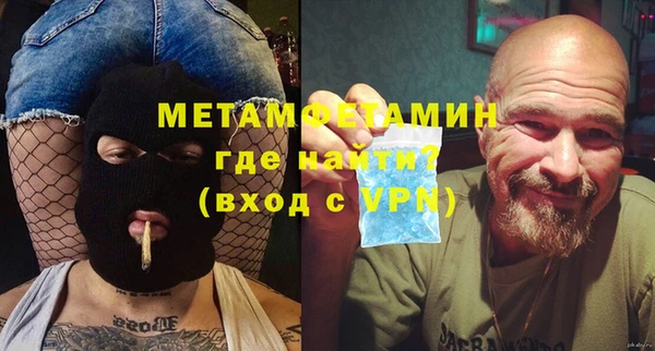 хмурый Пересвет