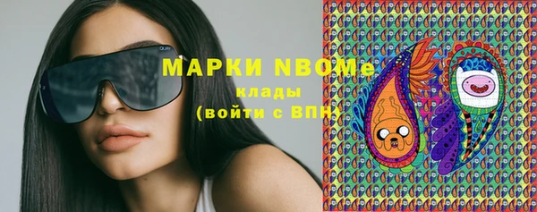 хмурый Пересвет