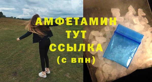 хмурый Пересвет