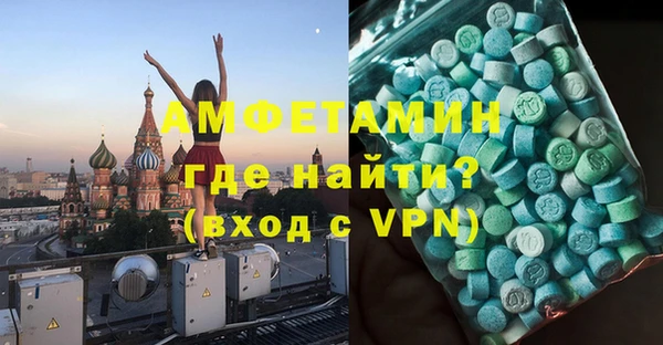 хмурый Пересвет