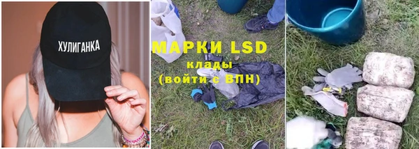 хмурый Пересвет