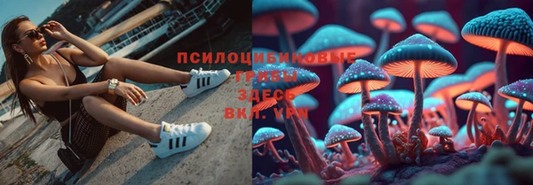 экстази Пестово