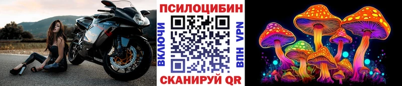 блэк спрут ССЫЛКА  наркота  Липецк  Псилоцибиновые грибы Psilocybe 