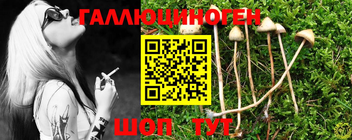 Галлюциногенные грибы Cubensis Липецк