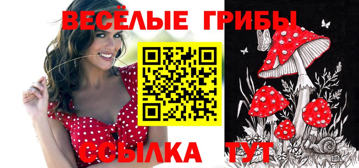 купить  сайты  Липецк  Псилоцибиновые грибы Cubensis 