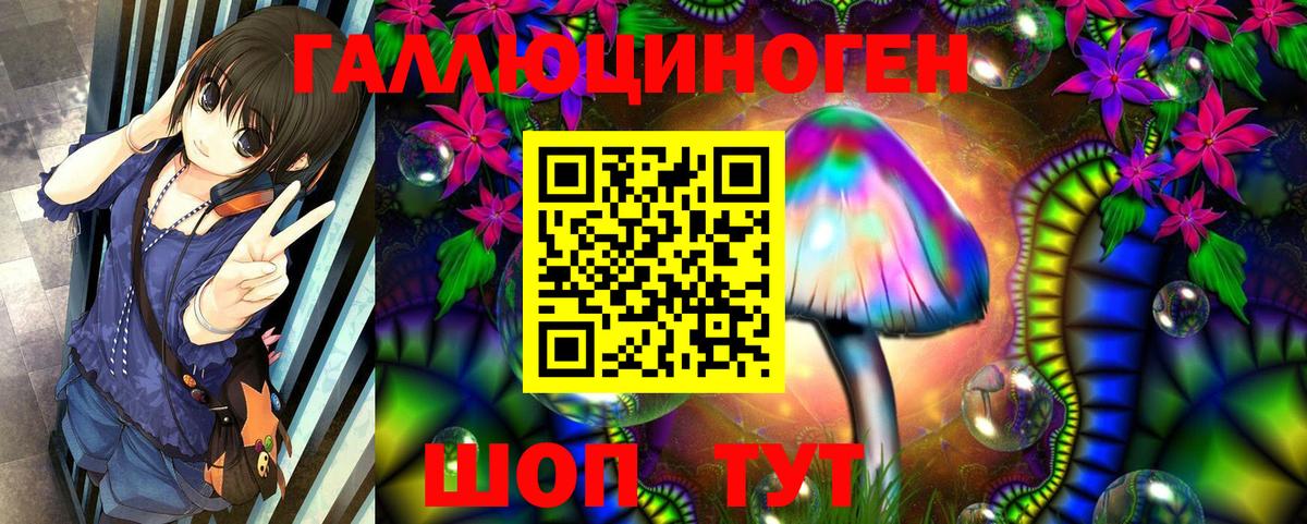 Псилоцибиновые грибы Cubensis  Вход с VPN  Липецк 