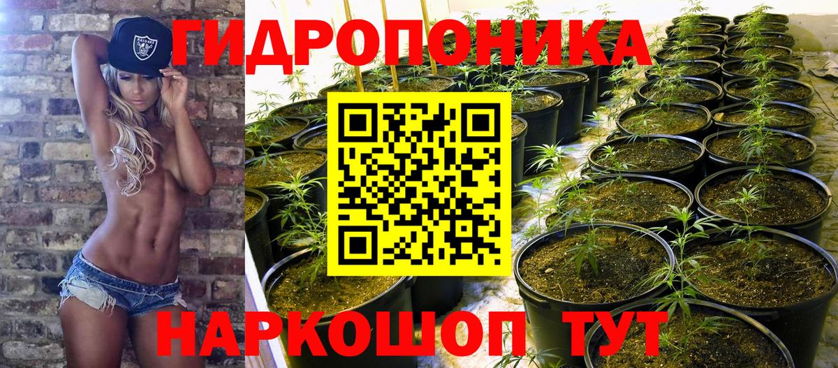 Канабис White Widow  Канабис планчик  Бошки Шишки индика  Бошки Шишки марихуана  Липецк 